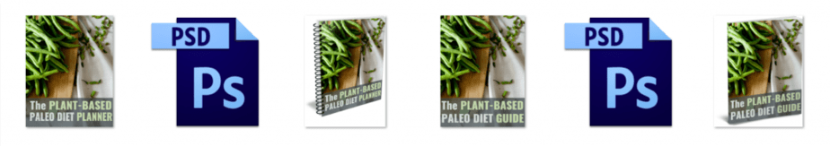 Plant Based Paleo PLR Editable Ecovers