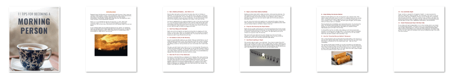 Productive Mornings Premium PLR Package 26k Words