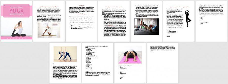 Yoga Fitness Premium PLR Report Sneak Preview Yoga Fitness Premium PLR Report Sneak Preview