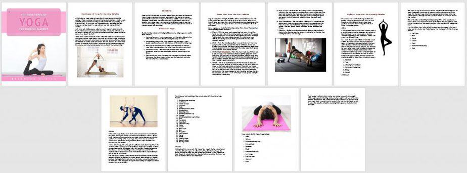 Yoga Fitness Premium PLR Report Sneak Preview