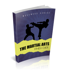martial arts premium plr ebook