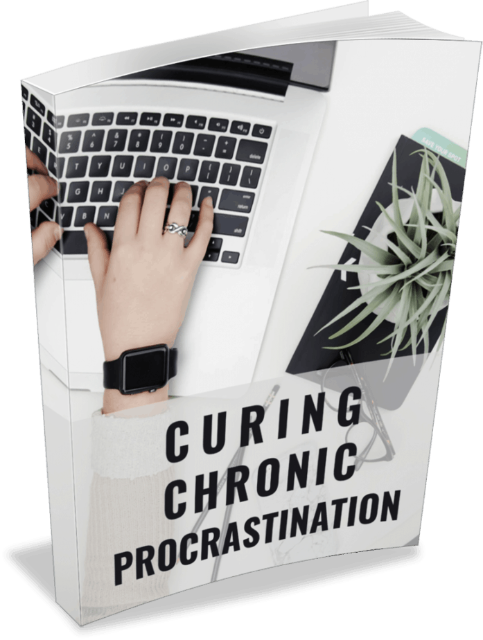 End Procrastination Premium PLR Ebook End Procrastination Premium PLR Ebook