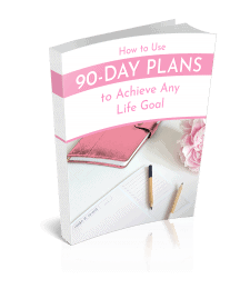 90 Day Plans Premium PLR Ebook