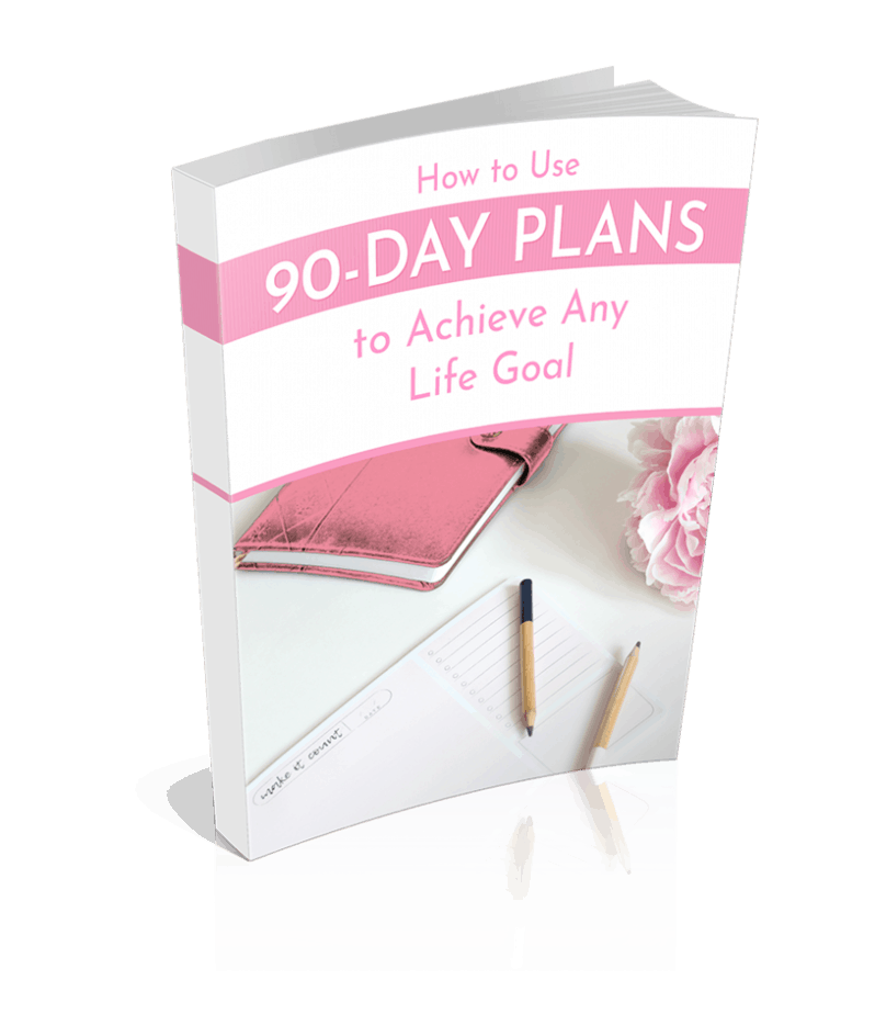 90 Day Plans Premium PLR Ebook