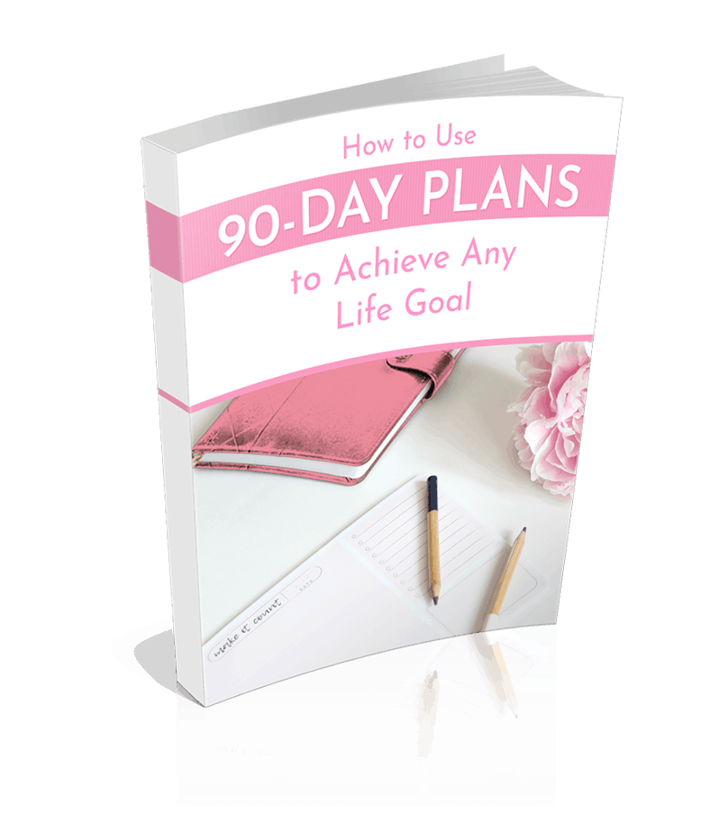 90 Day Plans Premium PLR Ebook