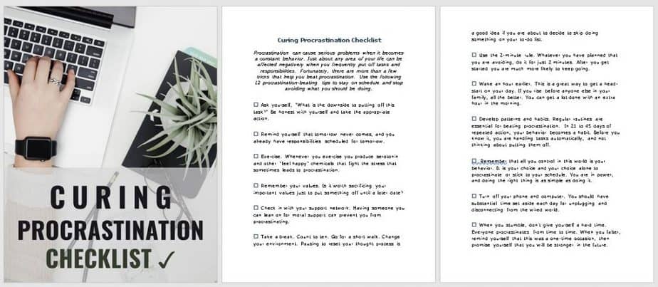 End Procrastination Premium PLR Checklist Sneak Preview End Procrastination Premium PLR Checklist Sneak Preview