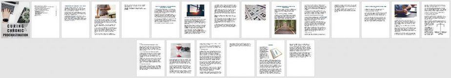 End Procrastination Premium PLR Ebook Sneak Preview End Procrastination Premium PLR Ebook Sneak Preview