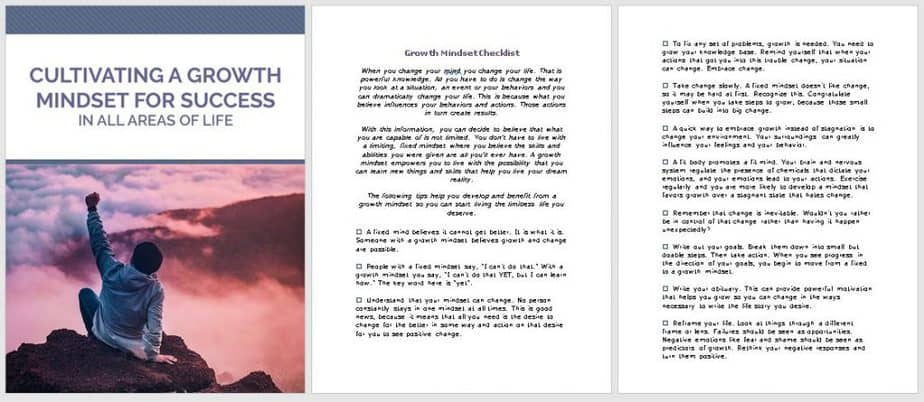 Growth Mindset Premium PLR Checklist Sneak Preview