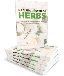 Healing Power Of Herbs ebook