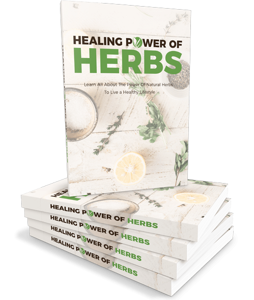 Healing Power Of Herbs ebook