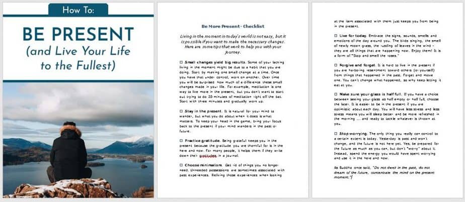 How to Be Present Premium PLR Checklist Sneak Preview How to Be Present Premium PLR Checklist Sneak Preview