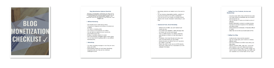 Monetize Your Blog Premium PLR Package 30k Words