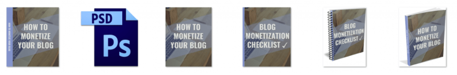 Monetize Your Blog PLR Editable eCover