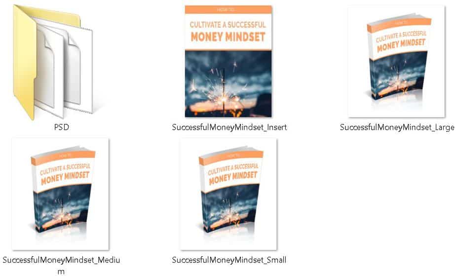 Money Mindset Premium PLR Ecovers