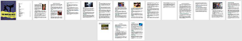 Martial Arts Fitness Premium PLR Package | High Quality Martial Arts PLR