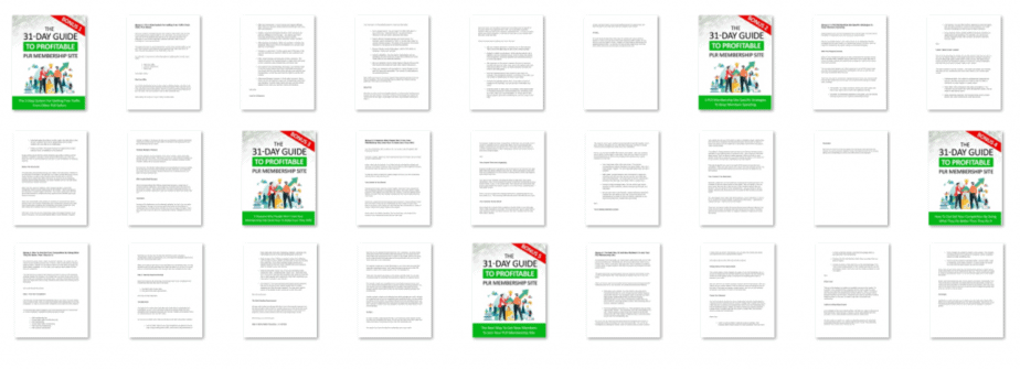 Guide To A Profitable PLR Membership Site PLR Content Guide To A Profitable PLR Membership Site PLR Content