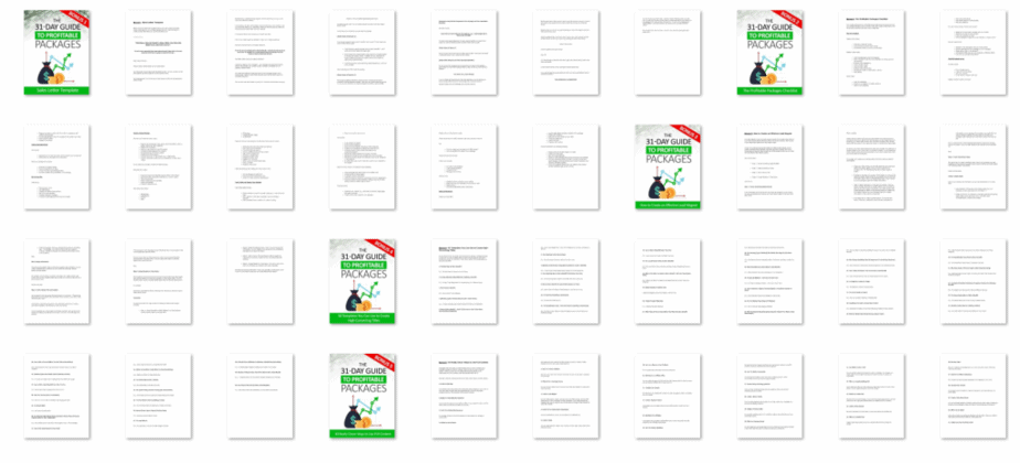 The 31 Day Guide To Profitable Packages Bonuses The 31 Day Guide To Profitable Packages Bonuses