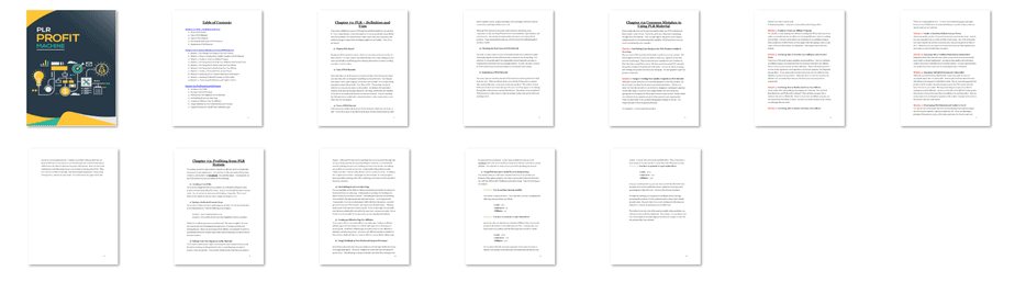 PLR Profit Machine PLR eBook Resell PLR