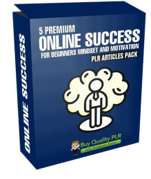 5 Premium Online Success For Beginners Mindset and Motivation PLR ...