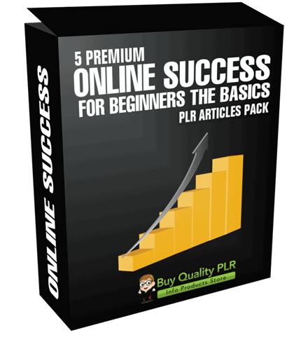 5 Premium Online Success For Beginners The Basics PLR Articles Pack