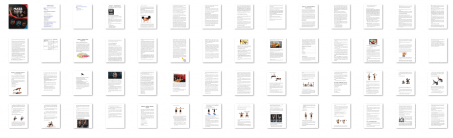 Mass Gaining Kickstart PLR eBook Resell PLR Screenshot Mass Gaining Kickstart PLR eBook Resell PLR Screenshot