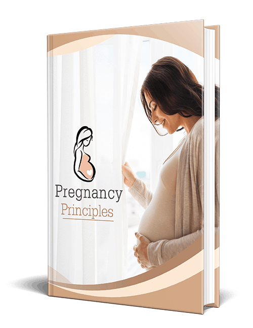 Pregnancy Principles PLR eBook Resell PLR