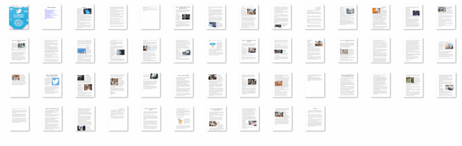 Twitter Success PLR eBook Resell PLR Screenshot