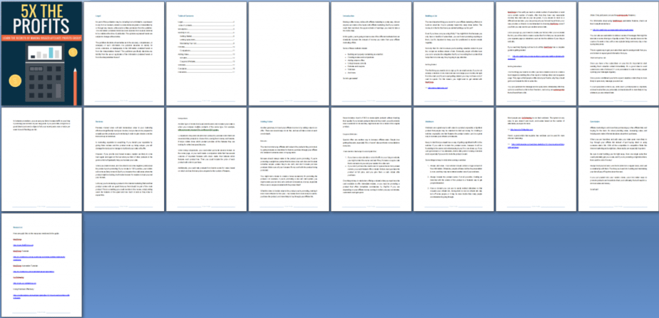 5X The Profits PLR Report Screenshot 5X The Profits PLR Report Screenshot