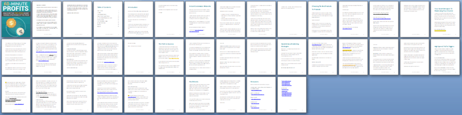 60 Minute Profits PLR Lead Magnet Kit Sneak Preview