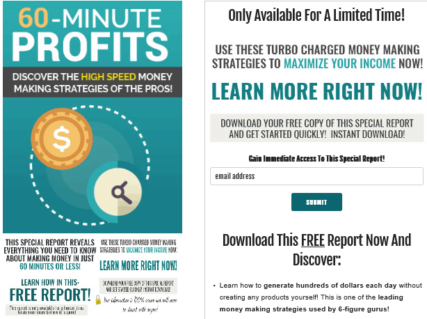 60 Minute Profits PLR Squeeze Page