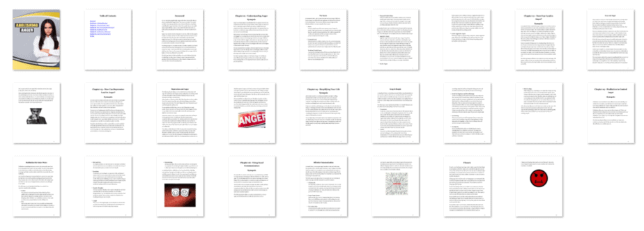 Abolishing Anger PLR eBook Resell PLR Screenshot Abolishing Anger PLR eBook Resell PLR Screenshot
