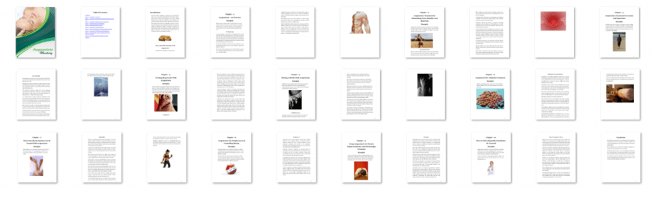 Acupuncture Mastery PLR eBook Resell PLR Screenshot