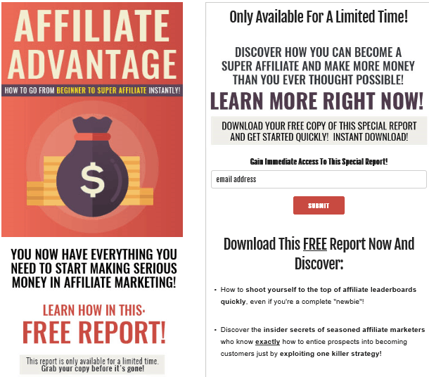 Affiliate Advantage PLR Lead Magnet Kit Squeeze Page