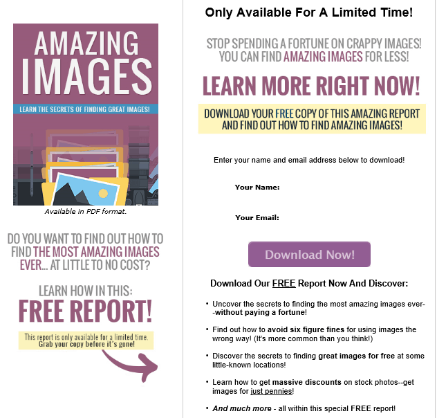 Amazing Images PLR Lead Magnet Kit Squeeze Page Amazing Images PLR Lead Magnet Kit Squeeze Page