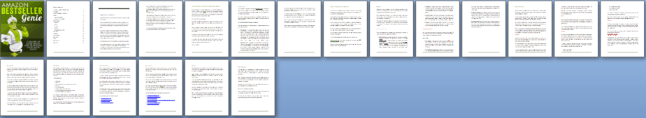 Amazon Bestseller PLR Report