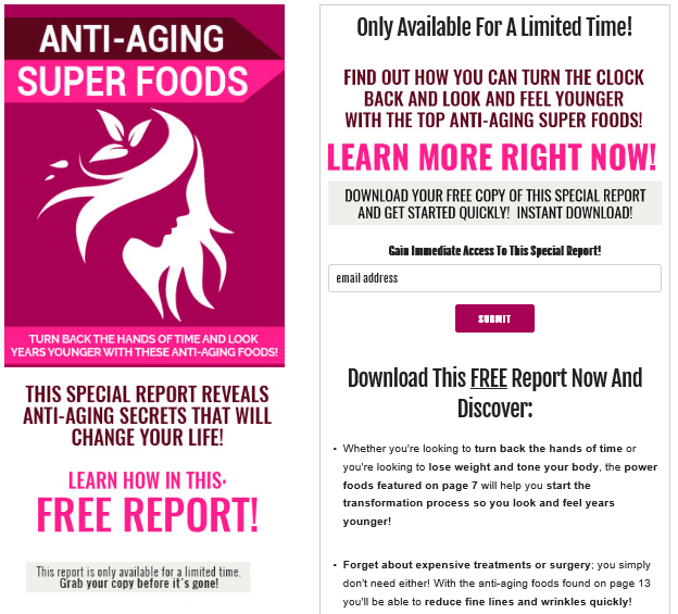 Anti Aging Super Foods PLR Lead Magnet Kit Squeeze Page