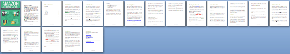 Amazon Affiliate Expert PLR Report Amazon Affiliate Expert PLR Report