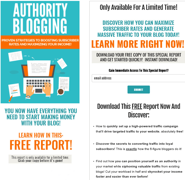 Authority Blogging PLR Lead Magnet Kit Squeeze Page Authority Blogging PLR Lead Magnet Kit Squeeze Page