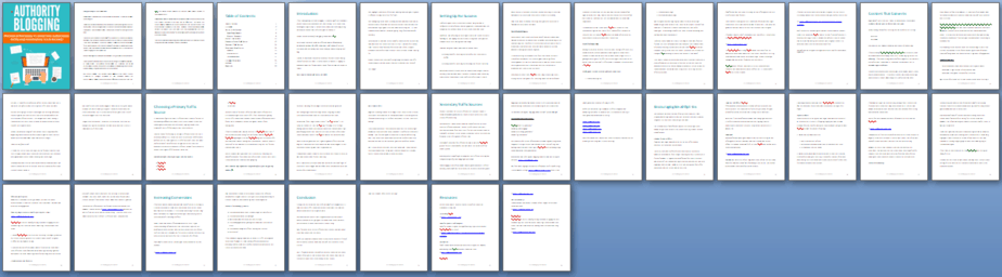 Authority Blogging PLR Lead Magnet Sneak Preview Authority Blogging PLR Lead Magnet Sneak Preview