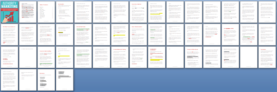 Authority Marketing PLR Report