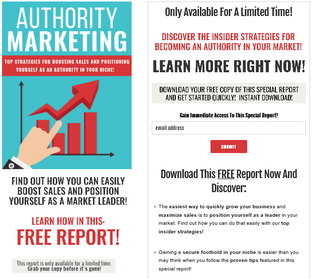 Authority Marketing PLR Squeeze Page