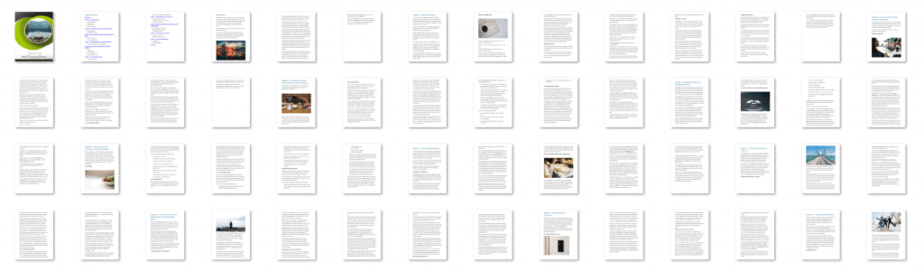 Being Self Disciplined PLR eBook Resell PLR Screenshot Being Self Disciplined PLR eBook Resell PLR Screenshot
