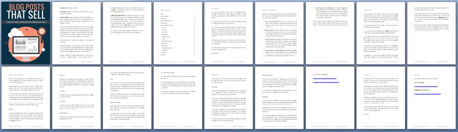 Blog Posts That Sell PLR Lead Magnet Report Sneak Preview Blog Posts That Sell PLR Lead Magnet Report Sneak Preview