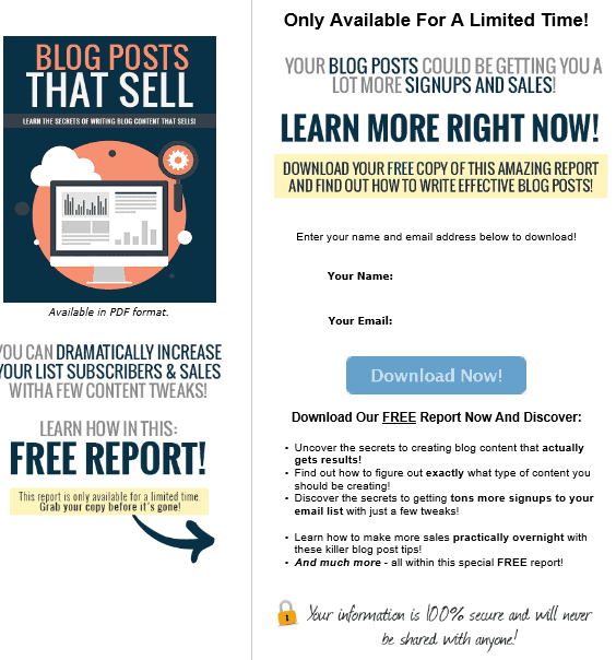 Blog Posts That Sell PLR Lead Magnet Squeeze Page Blog Posts That Sell PLR Lead Magnet Squeeze Page