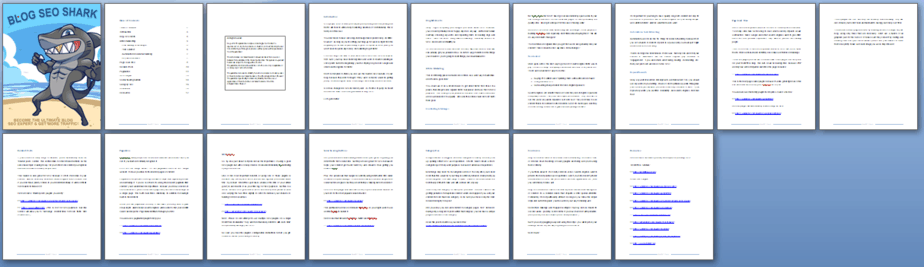 Blog SEO PLR Report Blog SEO PLR Report