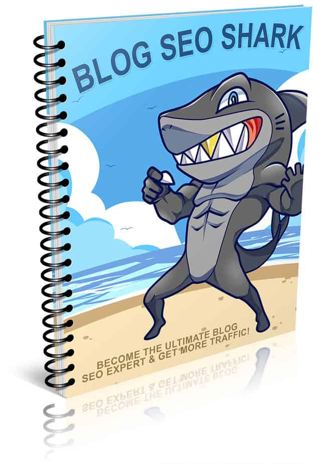 Blog SEO PLR Lead Magnet Kit eCover