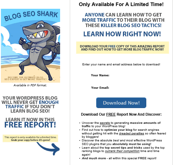 Blog SEO PLR Squeeze Page Blog SEO PLR Squeeze Page