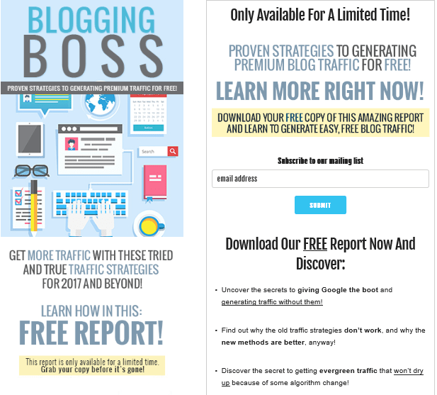 Blogging Boss PLR Lead Magnet Kit Squeeze Page