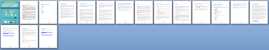 Branding Bootcamp PLR Report