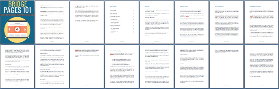 Bridge Pages 101 PLR Report Sneak Preview Bridge Pages 101 PLR Report Sneak Preview